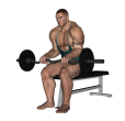 Reverse Curl - Seated EZ Bar